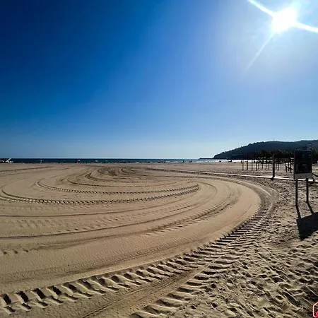 El Paraiso En Playa Concha